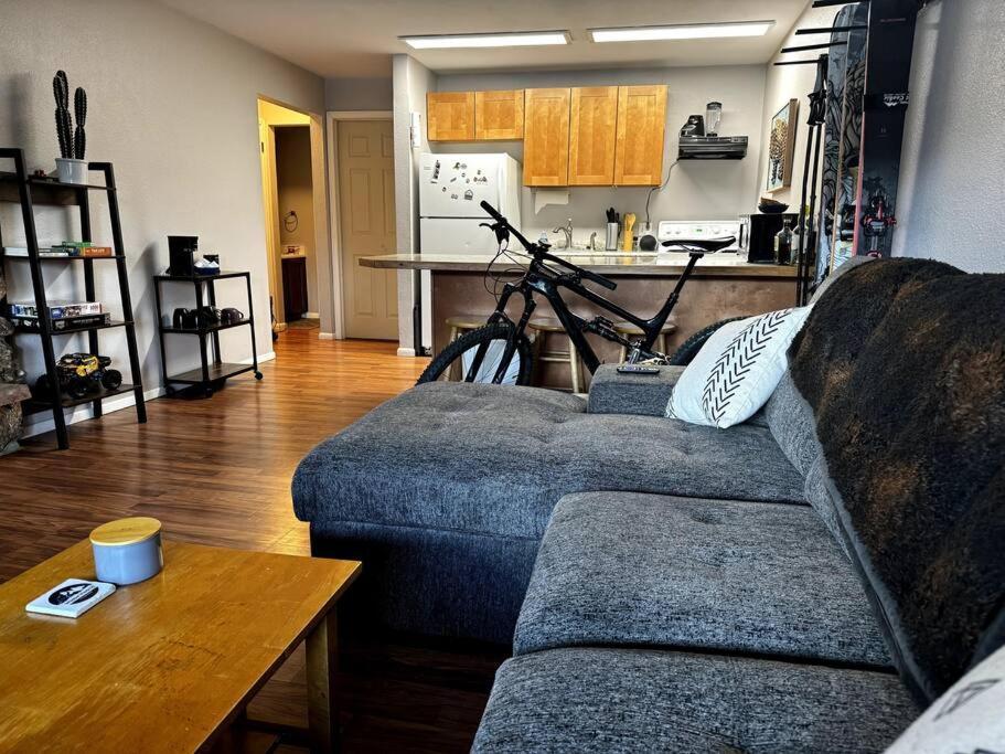 Cozy Condo In Winter Park - On Blue Bus Route - Walk To Downtown, Restaurants, Grocery Dış mekan fotoğraf